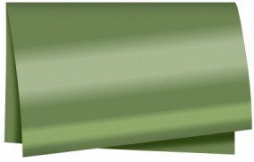 SUJINHO ALB LISO C/50 VERDE OLIVA